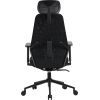 Офісне крісло OfficePro Fusion OC577B Black (OC577B) зображення 5