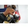 Боксерські рукавички RDX Mark Pro Sparring Tri Lira 2 Golden 14 oz (BGM-PSTL2G-14OZ) зображення 7