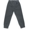 Штани дитячі Breeze з лампасами (14889-110B-blue) зображення 2