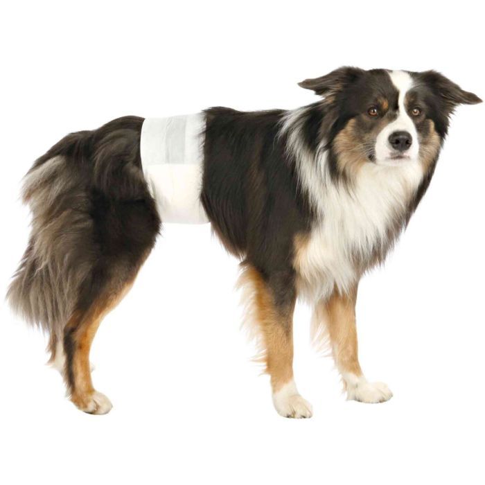 Підгузки для тварин Trixie для собак (кобелів) L-XL 60-80 см 12 шт (4011905236438) зображення 2
