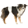 Подгузники для животных Trixie для собак (кобелей) L-XL 60-80 см 12 шт (4011905236438) изображение 2