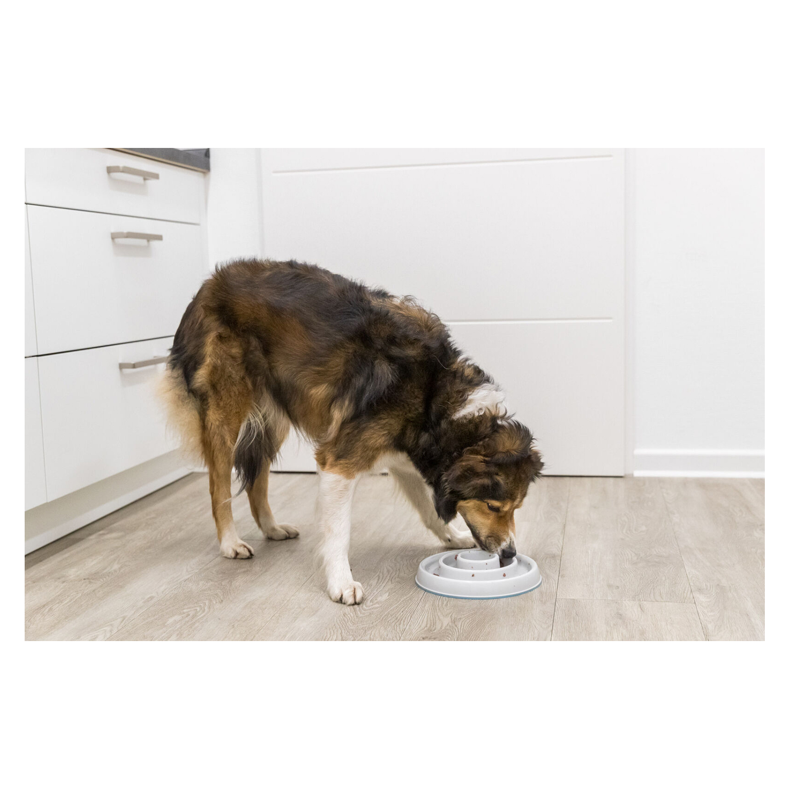 Посуд для собак Trixie Миска пластикова для повільного годування 450 мл/23 см (сіра) (4011905250298) зображення 5