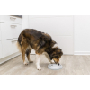 Посуд для собак Trixie Миска пластикова для повільного годування 450 мл/23 см (сіра) (4011905250298) зображення 5
