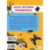 Книга Мініенциклопедія. Комахи та павуки Vivat (9789669827234) зображення 2