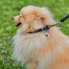 Нашийник для тварин WAUDOG Soft з QR паспортом круглий Д 6 мм Д 17-20 см чорний (22301) зображення 5
