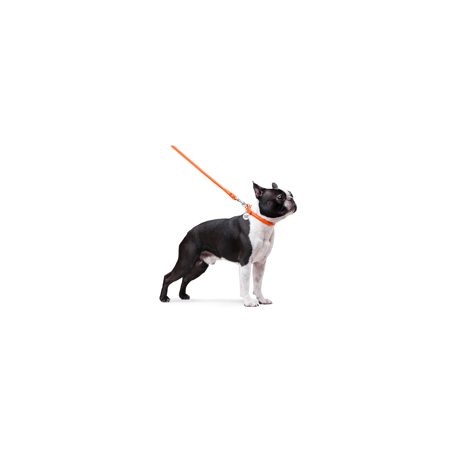 Поводок для собак WAUDOG Glamour круглый XS d 8 мм Д 122 см оранжевый (33774) изображение 3