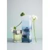 Аромадиффузор Sister's Aroma Amazonia Tour 100 мл (4820227783823) изображение 3