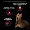 Сухий корм для кішок Purina Pro Plan Sterilised Adult 1+ Savoury Duo Після стерилізації З тріскою та фореллю 3 кг (7613036732550) зображення 5