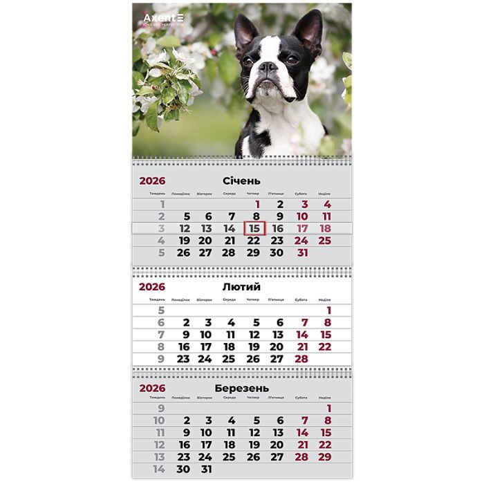 Календарь Axent настенный квартальный 2026 г.,3 пружины Dogs 2 (8803-26-17-A)