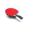 Ракетка для настольного тенниса Butterfly Team Advance FL (6256900002) (931841) изображение 3