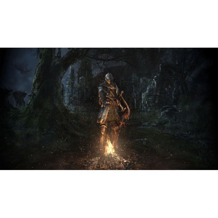 Игра Nintendo Dark Souls Remastered, картридж (045496421892) изображение 12