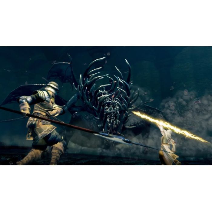 Игра Nintendo Dark Souls Remastered, картридж (045496421892) изображение 5