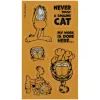 Стикер-наклейка Kite набор светоотражающих стикеров для текстиля Garfield (GF25-114) изображение 2