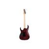 Електрогітара Ibanez RG470DXW-WZM (302352) зображення 2