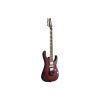 Електрогітара Ibanez RG470DXW-WZM (302352) зображення 3