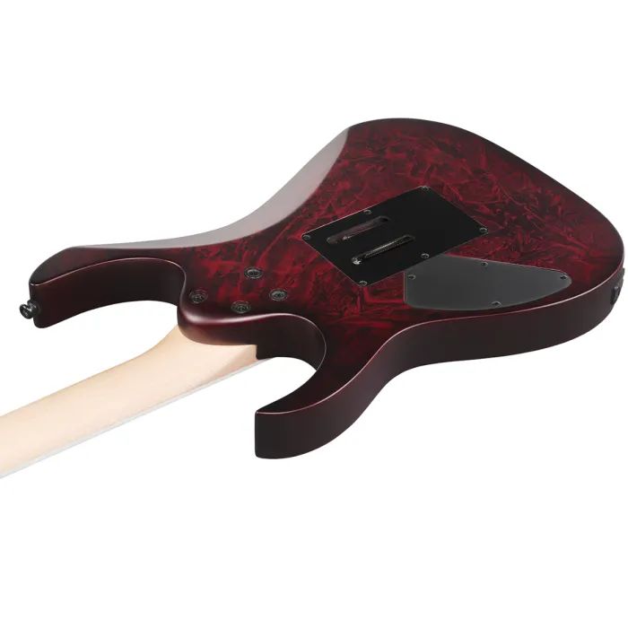Електрогітара Ibanez RG470DXW-WZM (302352) зображення 5