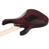 Електрогітара Ibanez RG470DXW-WZM (302352) зображення 5