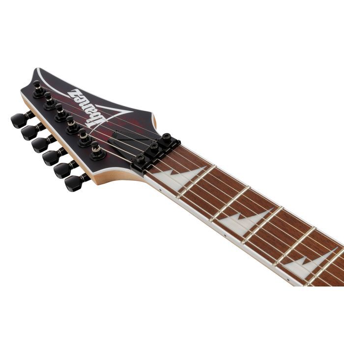 Електрогітара Ibanez RG470DXW-WZM (302352) зображення 6