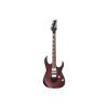 Електрогітара Ibanez RG470DXW-WZM (302352)