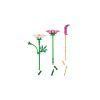 Конструктор LEGO Botanicals Цветы космеи (11514) изображение 4
