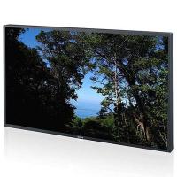 LCD панель Sony FWDS42E1