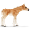 Фігурка Schleich Жеребенок породы гафлингер (13699)