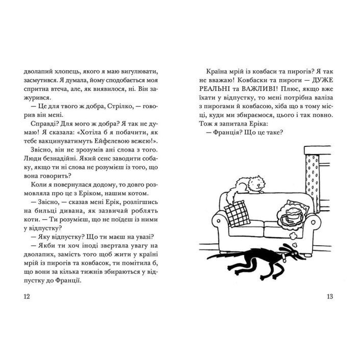 Книга Викрадення! Гаряче літо Ракети на чотирьох лапах. Книга 5 - Джеремі Стронґ Видавництво Старого Лева (9786176798156) зображення 5