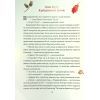 Книга Таємниця різдвяного подарунка - Анна Лотт Vivat (9789669825179) зображення 5