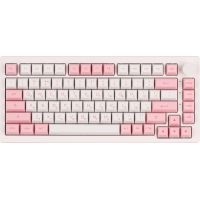 Клавиатура Akko 5075B Plus Prunus Lannesiana 75Key CS Silver Hot-swappable UA RGB White (6925758619158)