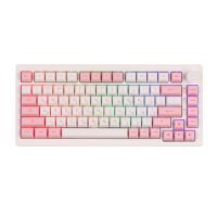 Клавиатура Akko 5075B Plus Prunus Lannesiana 75Key CS Silver Hot-swappable UA RGB White (6925758619158) изображение 3