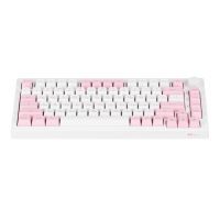 Клавиатура Akko 5075B Plus Prunus Lannesiana 75Key CS Silver Hot-swappable UA RGB White (6925758619158) изображение 5