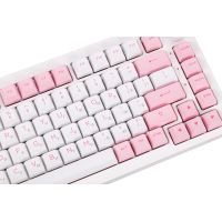 Клавиатура Akko 5075B Plus Prunus Lannesiana 75Key CS Silver Hot-swappable UA RGB White (6925758619158) изображение 7