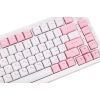 Клавиатура Akko 5075B Plus Prunus Lannesiana 75Key CS Silver Hot-swappable UA RGB White (6925758619158) изображение 7