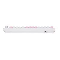 Клавиатура Akko 5075B Plus Prunus Lannesiana 75Key CS Silver Hot-swappable UA RGB White (6925758619158) изображение 9