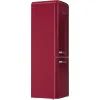 Холодильник Gorenje ONRK 619 DR (ONRK619DR) изображение 4