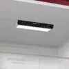 Холодильник Gorenje ONRK 619 DR (ONRK619DR) изображение 7