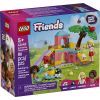 Конструктор LEGO Friends Ігровий майданчик для морських свинок (42640)