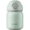 Термокружка Buydeem TAN200 Cozy Greenish (TAN200-CG)