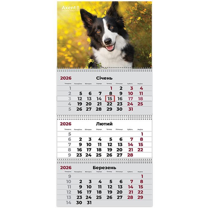 Календар Axent настінний квартальний 2026 р.,3 пружини Dogs 3 (8803-26-18-A)