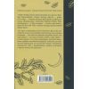 Книга Вузька дорога між бажаннями. Книга 0.6 - Патрік Ротфусс КСД (9786171516441) зображення 2