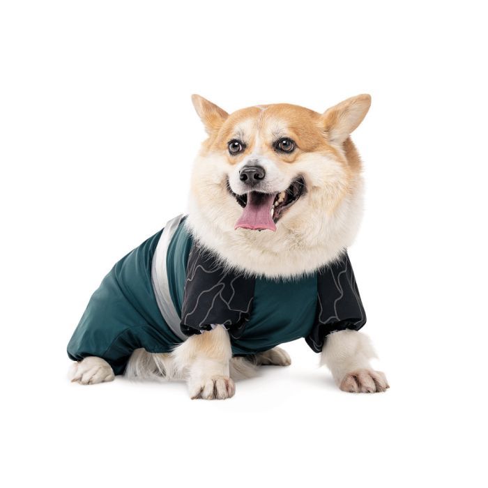 Комбінезон для тварин Pet Fashion Den SМ (4823082439744) зображення 3