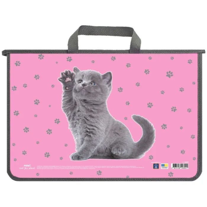 Папка - портфель Maxi А4 пластиковый на молнии (MX30059)