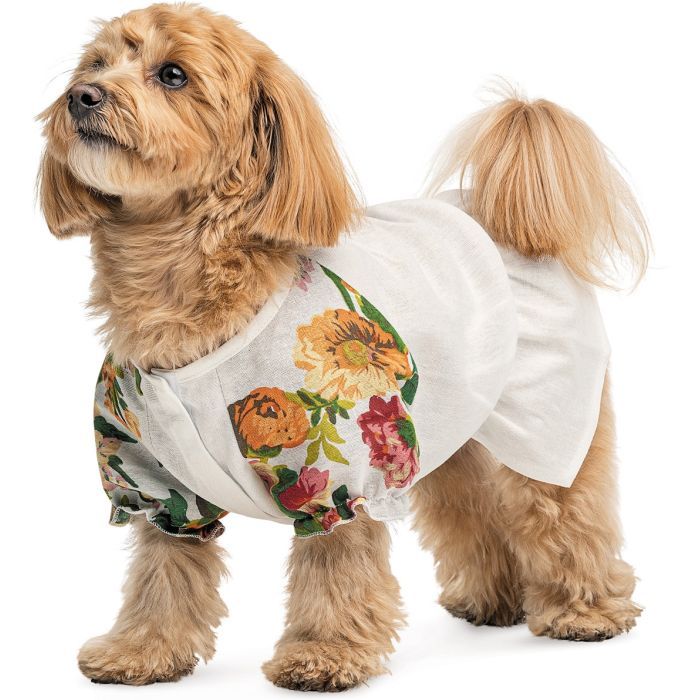 Футболка для животных Pet Fashion Соломія XS2 (4823082440412) изображение 3