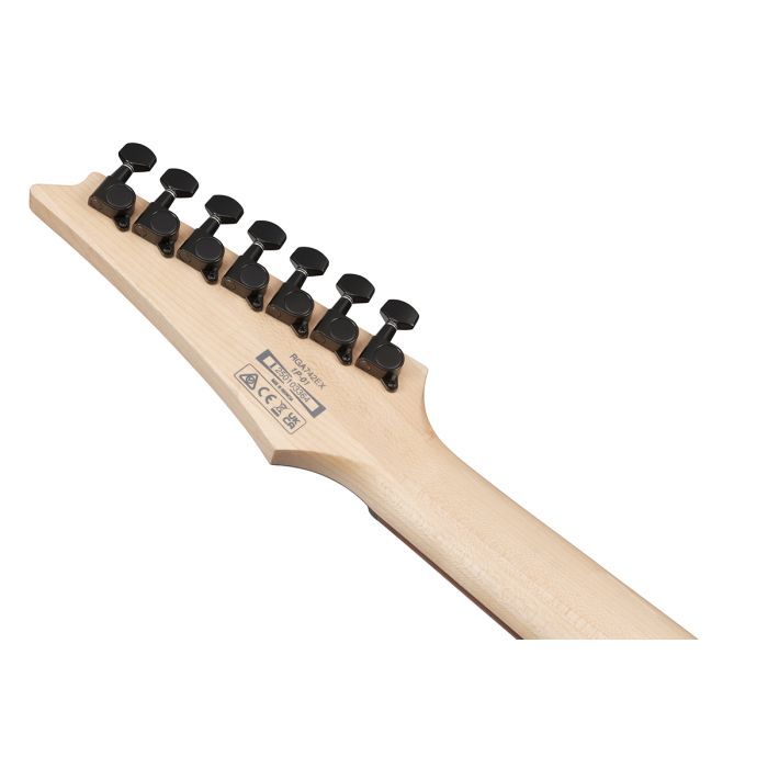 Електрогітара Ibanez RGA742EX-BAM (302354) зображення 7