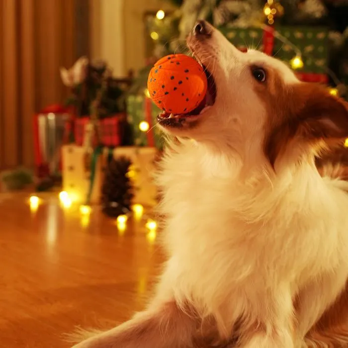 Игрушка для собак Cheerble Wicked Ball Air (Bright Orange) (CWQ01O) изображение 3