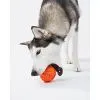 Игрушка для собак Cheerble Wicked Ball Air (Bright Orange) (CWQ01O) изображение 4