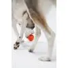 Игрушка для собак Cheerble Wicked Ball Air (Bright Orange) (CWQ01O) изображение 5