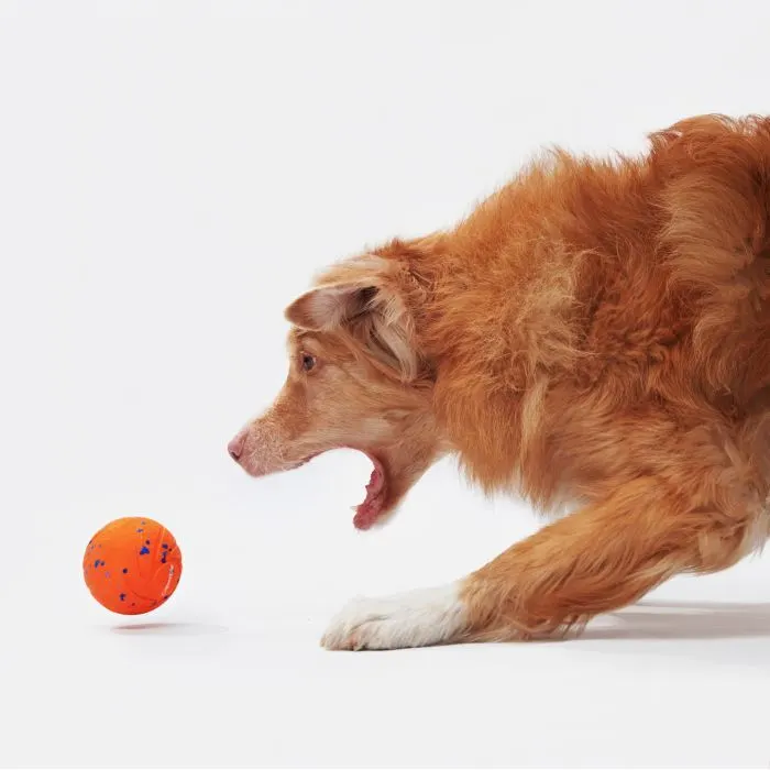 Игрушка для собак Cheerble Wicked Ball Air (Bright Orange) (CWQ01O) изображение 7