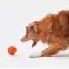 Игрушка для собак Cheerble Wicked Ball Air (Bright Orange) (CWQ01O) изображение 7