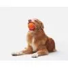 Игрушка для собак Cheerble Wicked Ball Air (Bright Orange) (CWQ01O) изображение 8